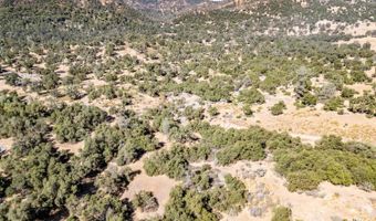 41902 Woodward Way, Ahwahnee, CA 93601