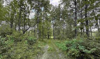 TBD Samuelson Road - Sec 15, Angora, MN 55703