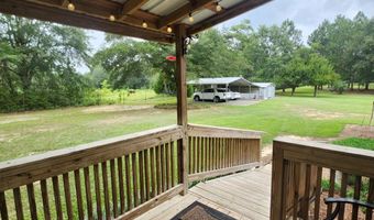 786 Blackberry Rd, Baconton, GA 31716