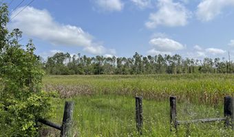 N Sr 71, Altha, FL 32421