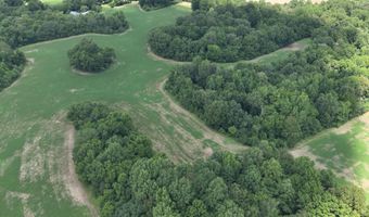 Hwy 1591, Bardwell, KY 42023