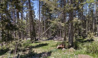 Lot 1267 Starlight Overlook, Angel Fire, NM 87710