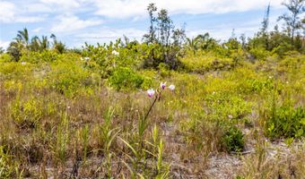 15-925 LEMIWAI Rd, Keaau, HI 96749