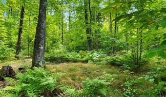 Double Bend Road, Argonne, WI 54511