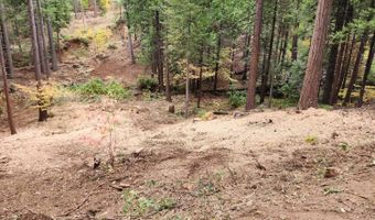 4337 Lakemont Dr, Arnold, CA 95223