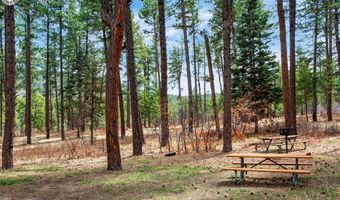 8912 S Pine Dr, Beulah, CO 81023