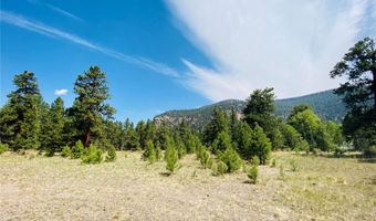 133 Canyon View Dr, Antonito, CO 81120