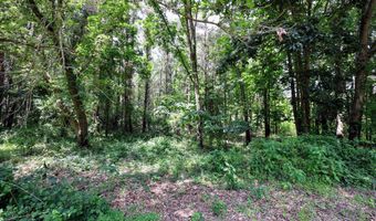 25270 B Dr S, Albion, MI 49224