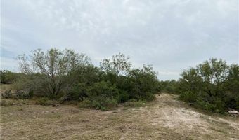 Cr-465, Alice, TX 78332