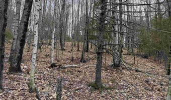 38 F Lang Rd, Bath, NH 03740