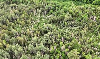 40 Acres Wide Waters Rd, Amasa, MI 49902