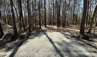 0 Lot 1 Creek Place Rd, Arapahoe, NC 28510