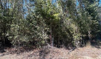 20 Ac Coot Adams Rd, Ashford, AL 36312