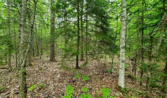 77 S Princeton Rd, Alexander, ME 04694