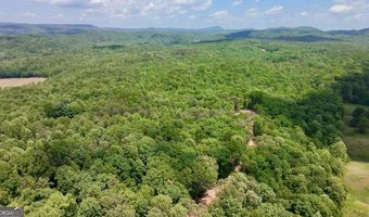 0 Hwy 105, Baldwin, GA 30511