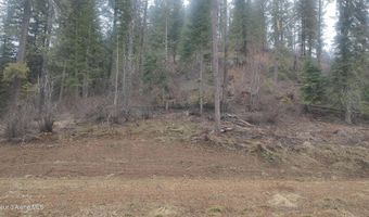 480 Dunn Peak Rd, Avery, ID 83802