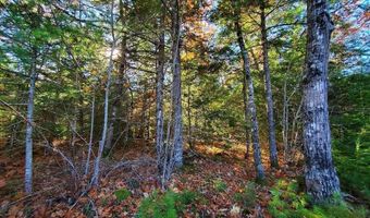 0 Sandy Beach Rd, Beddington, ME 04622