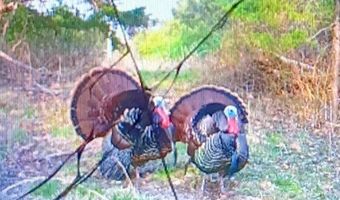 12257 Y-521 Rd, Ava, MO 65608