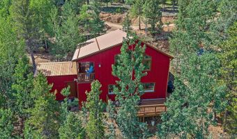 153 Wise Rd, Bailey, CO 80421