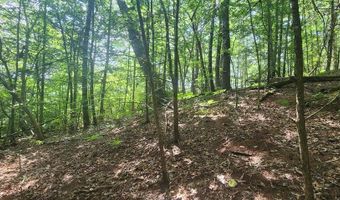 20 Bluff View Loop, Allardt, TN 38504