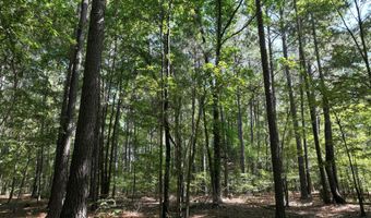 Highway 112, Abbeville, GA 31001