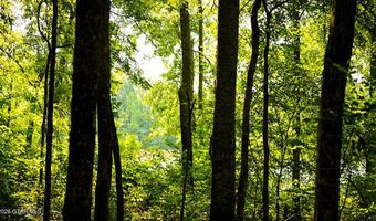 Cypress Pointe Drive lot 17, Brooksville, MS 39739