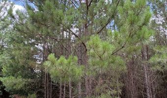 Hwy 3, Barnwell, SC 29812