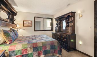 600 E Main St 207, Aspen, CO 81611