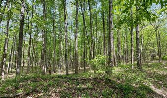 566 A Tunnel Ridge Rd, Argillite, KY 41121
