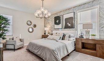 1562 S 241st Ave, Buckeye, AZ 85326