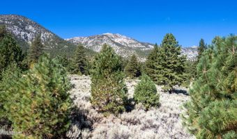 880 Stutler Creek Ct, Gardnerville, NV 89460