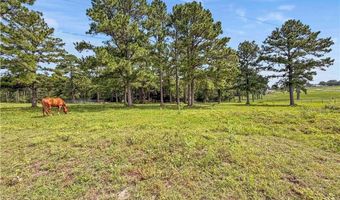 6779 County Road 215, Anderson, TX 77830