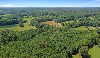 0 Cotton Grove Rd, Beech Bluff, TN 38313