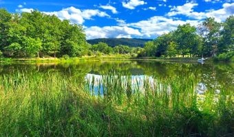 117 LAKE VIEW Dr, Augusta, WV 26704