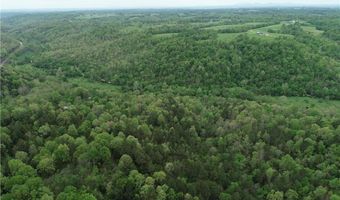 Twin Fork DR, Bergman, AR 72615