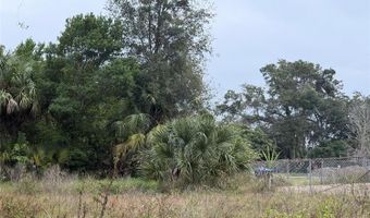 1409 S CENTRAL Ave, Apopka, FL 32703