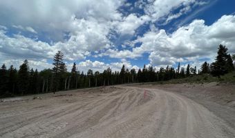 2 Skyline Terrace Ct, Beaver, UT 84713