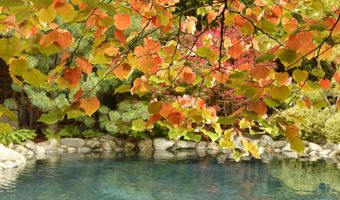 99 Granite St, Ashland, OR 97520