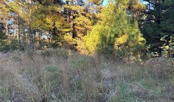 421041 E 1945 Ln, Antlers, OK 74523