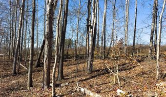 0 W Captina Highway Rd, Alledonia, OH 43902