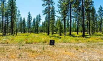 52 WALLACE Ln, Blanchard, ID 83804