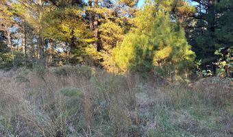 421041 E 1945 Ln, Antlers, OK 74523