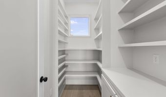 611 Osprey Cv, Brandon, MS 39047