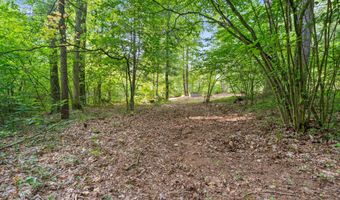 1125 39th St, Allegan, MI 49010