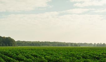 1037 Cr 300, Big Creek, MS 38914