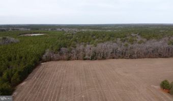 21063 WILSON Rd, Georgetown, DE 19947