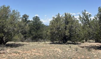 249 W Kings Ranch Rd, Ash Fork, AZ 86320