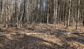 M 3 - L 15-1 & 2 Prospect Mountain Road, Alton, NH 03809