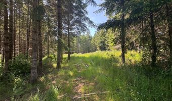 87503 UPPER FOURMILE Ln, Bandon, OR 97411