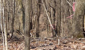 Gentry Farm Road, Aurora, NC 28743